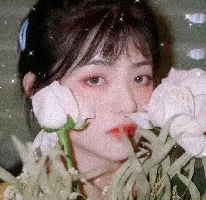 花花万物第二季海报